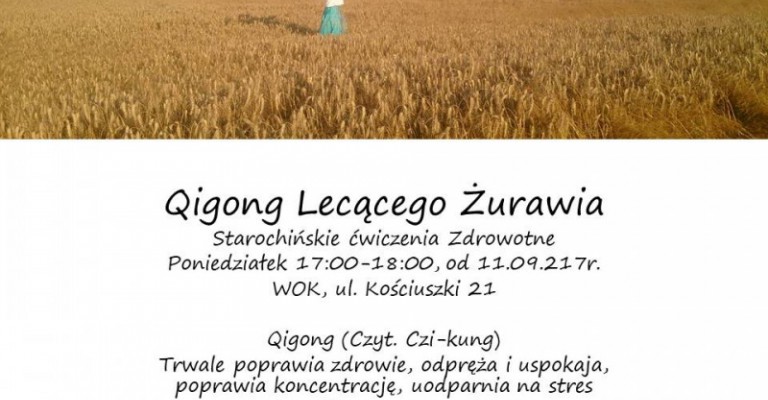 Qigong Lecącego Żurawia
