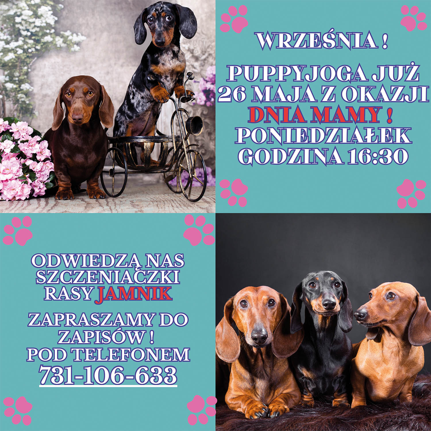  Zapraszamy na PUPPYJOGA